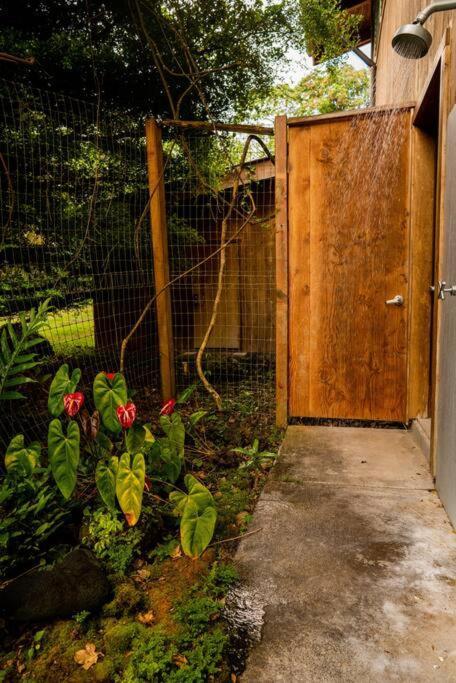Jungle Haven Ocean Front Eco Villa On Fruit Farm Pahoa Exterior photo