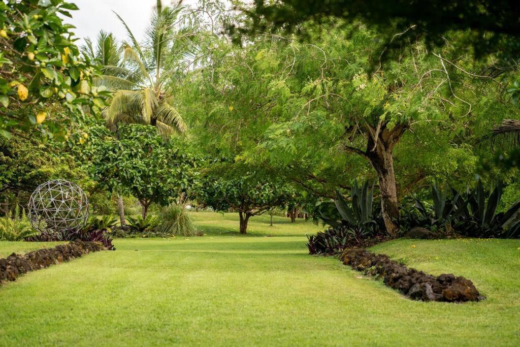 Jungle Haven Ocean Front Eco Villa On Fruit Farm Pahoa Exterior photo