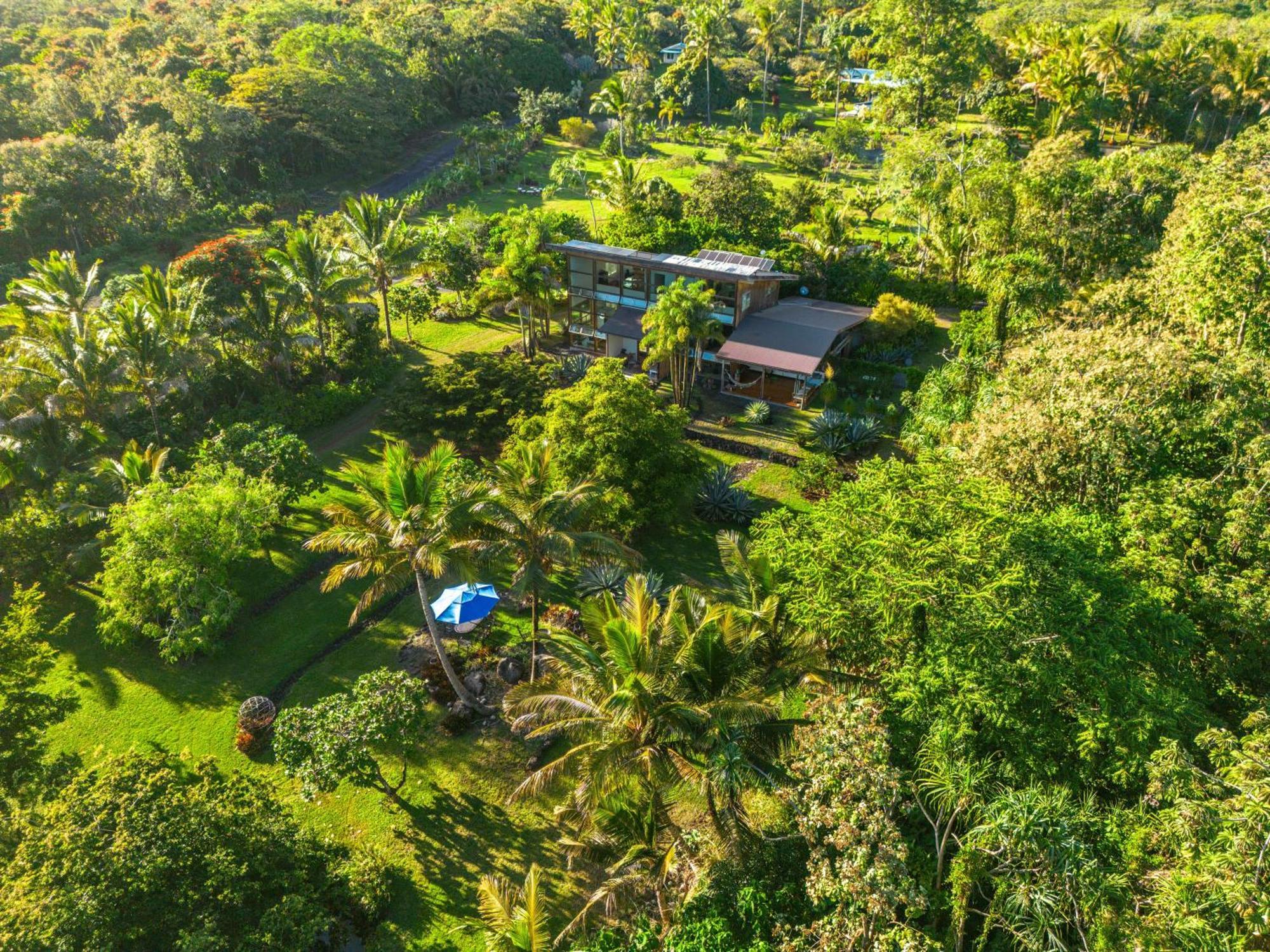 Jungle Haven Ocean Front Eco Villa On Fruit Farm Pahoa Exterior photo