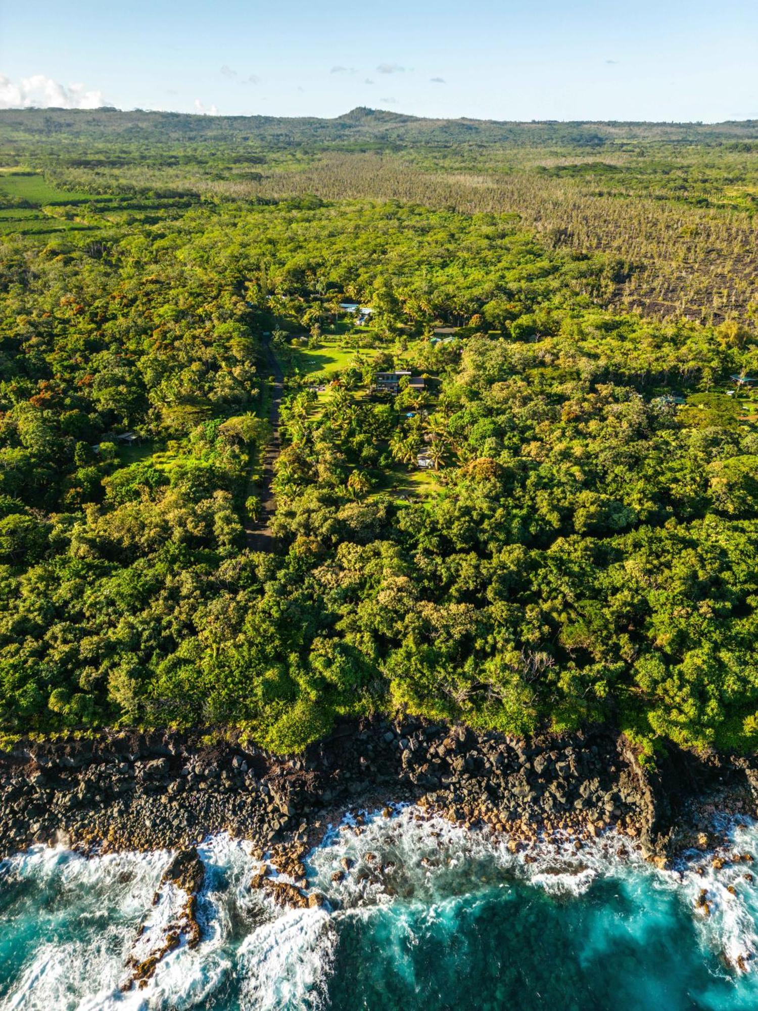 Jungle Haven Ocean Front Eco Villa On Fruit Farm Pahoa Exterior photo